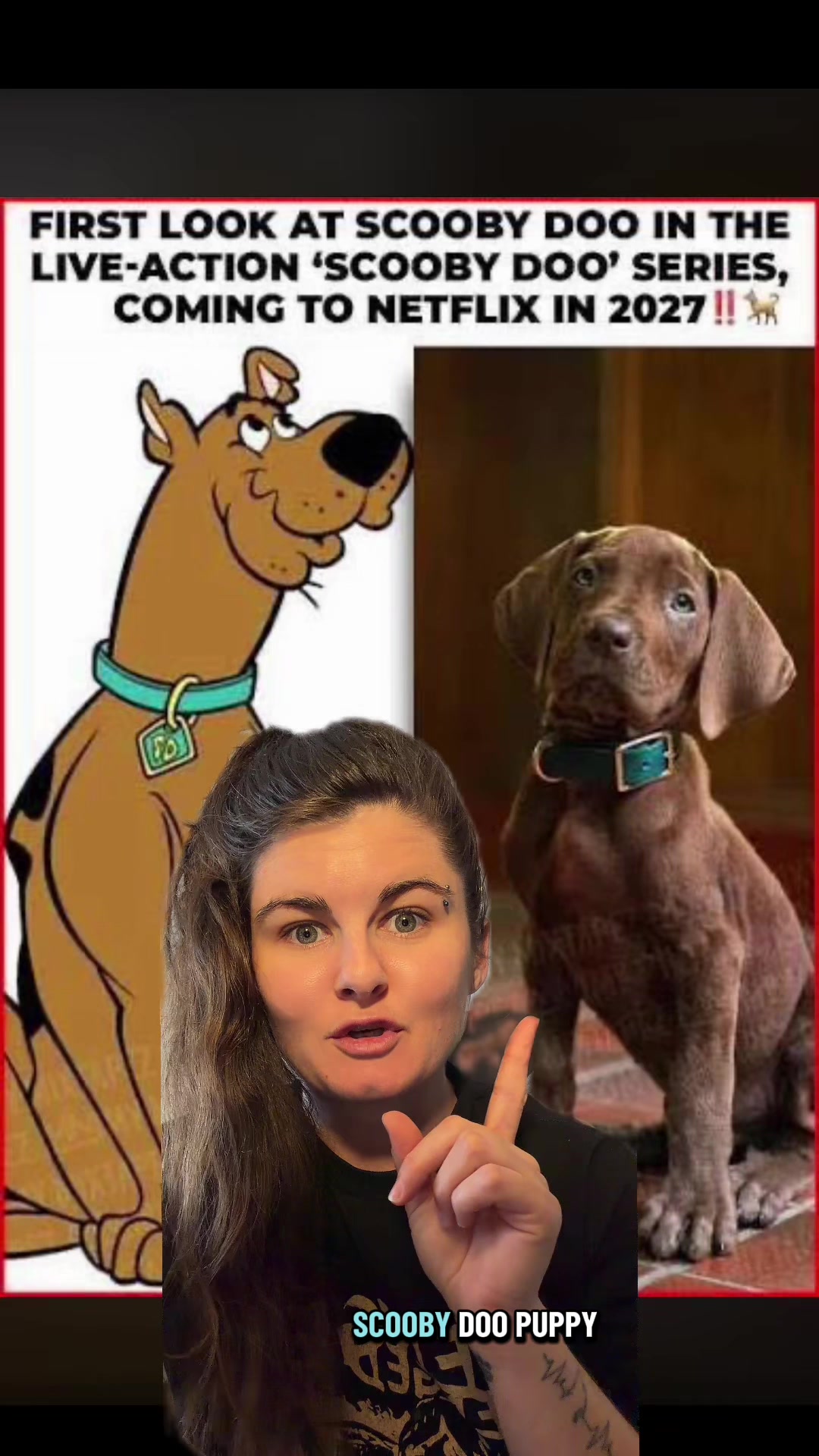 @Jess Shark🐾DOG PACK🐾