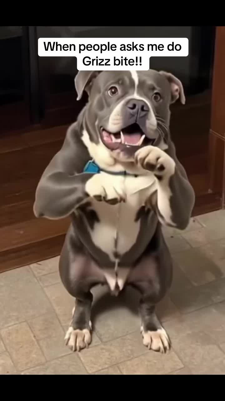 @j_whyyoucrazy