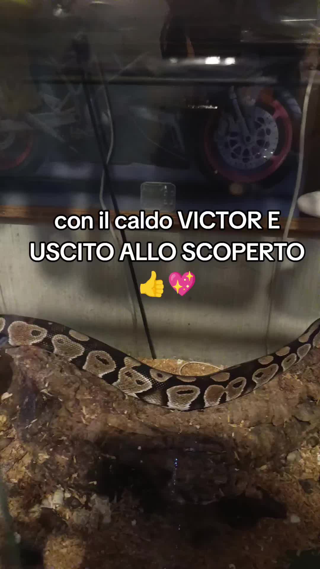 @Sabrina