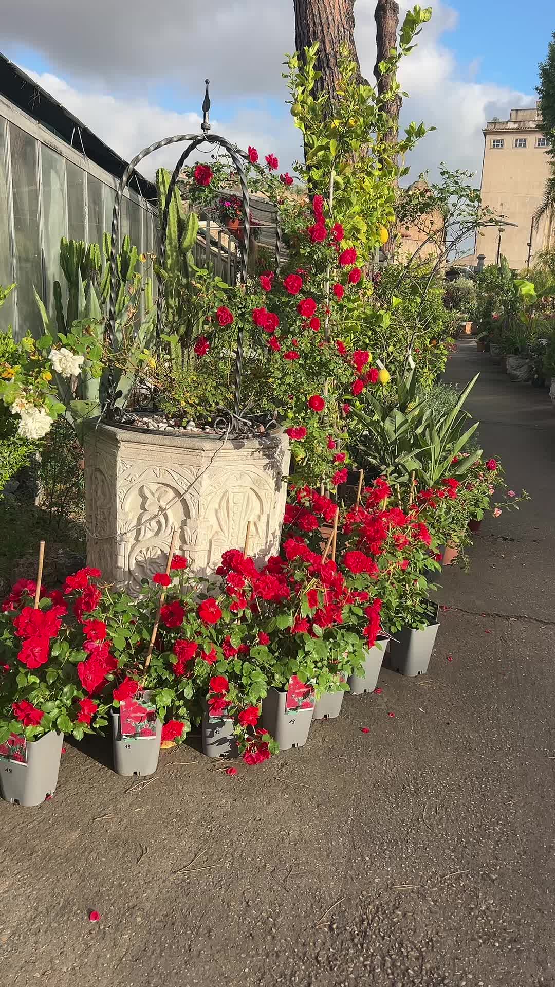 @vivaioanticogarden