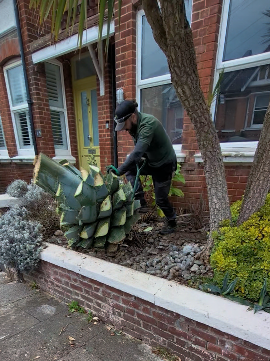 @Gary Hall Garden Services