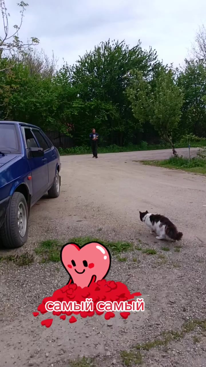 @Алёна