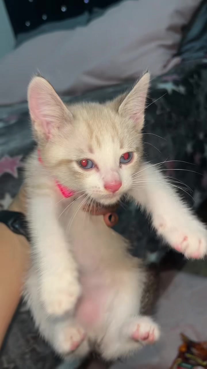 @Carito Chávez 🎀
