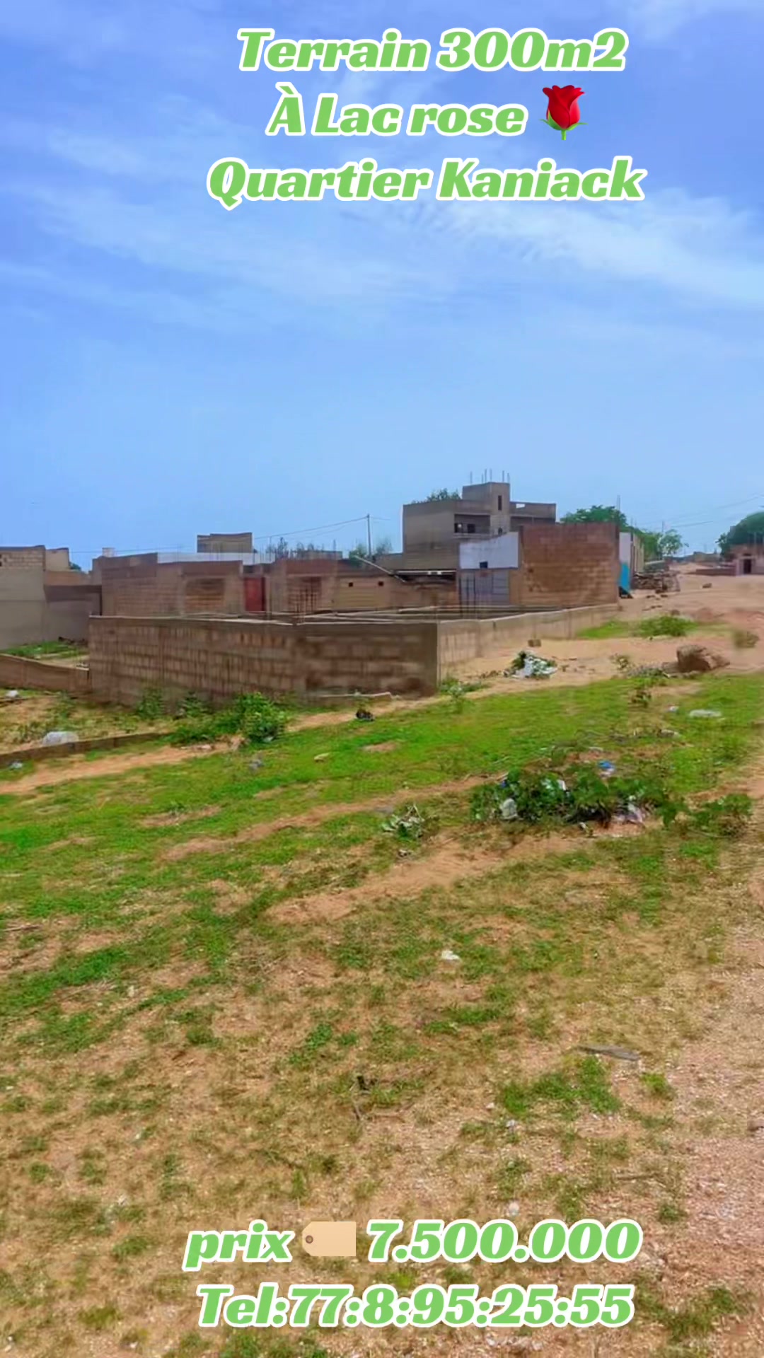 @Sénégal dakar habitat 🇸🇳