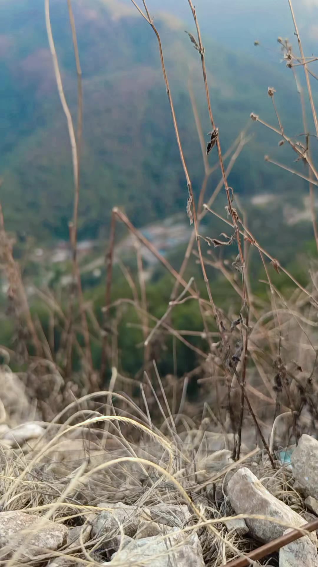 @Sange sherpa