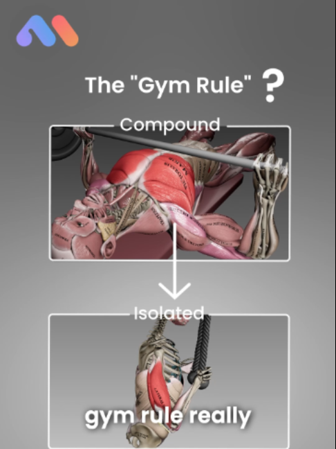 @Muscle & Motion