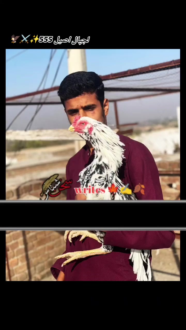 @𝒁𝒂𝒊𝒃 𝑴𝒖غ𝒉𝒂𝒍 555
