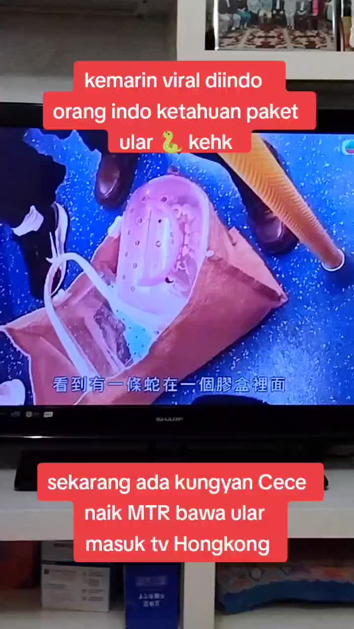 @Bagus