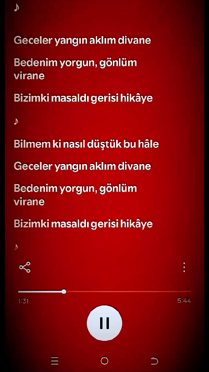 @pro müzik