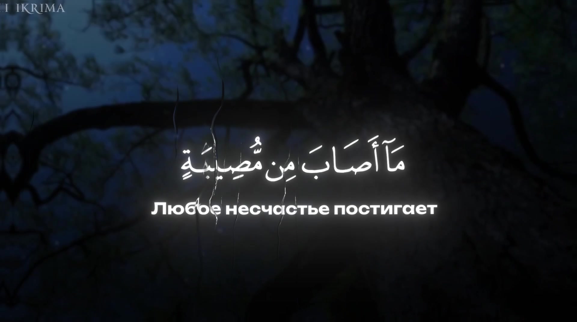 @﷽