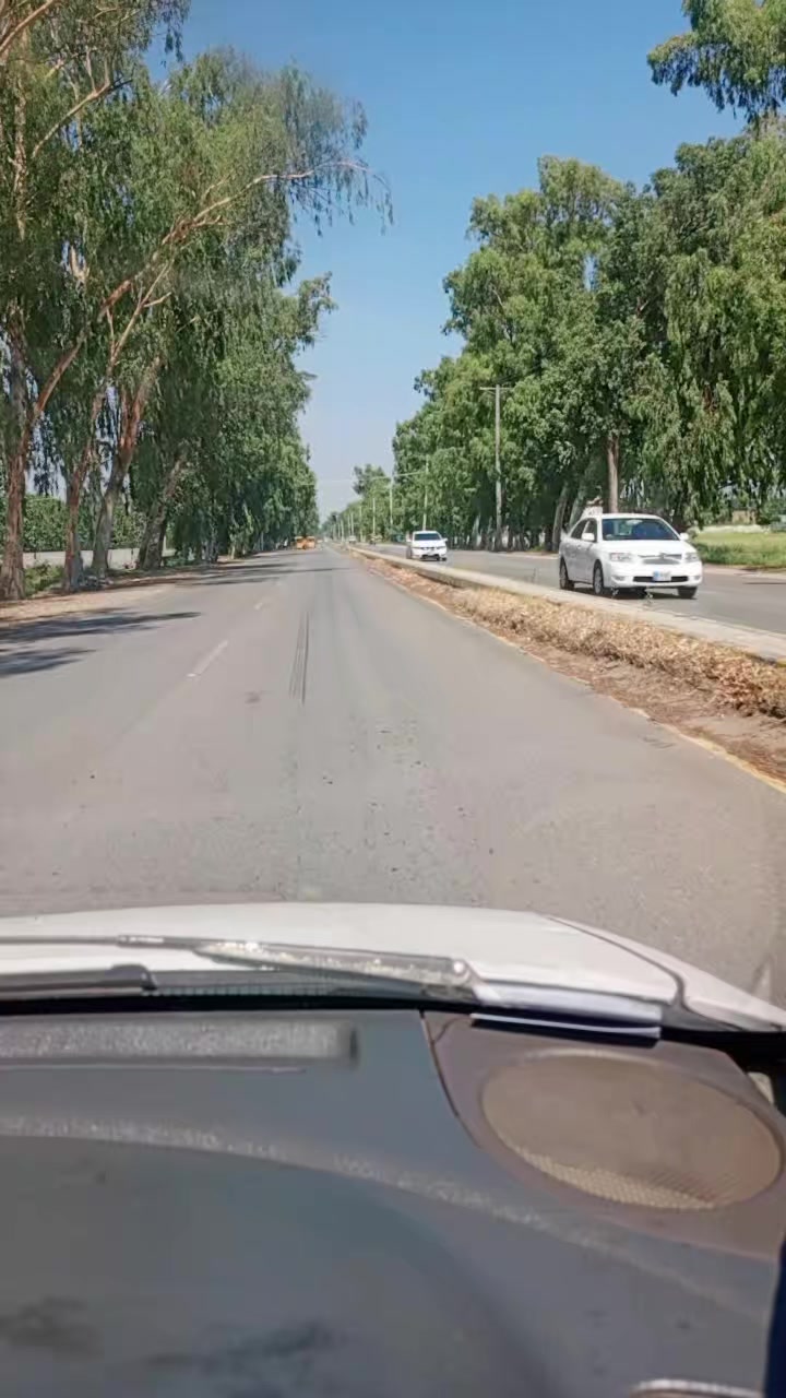 @saadmustafaarif