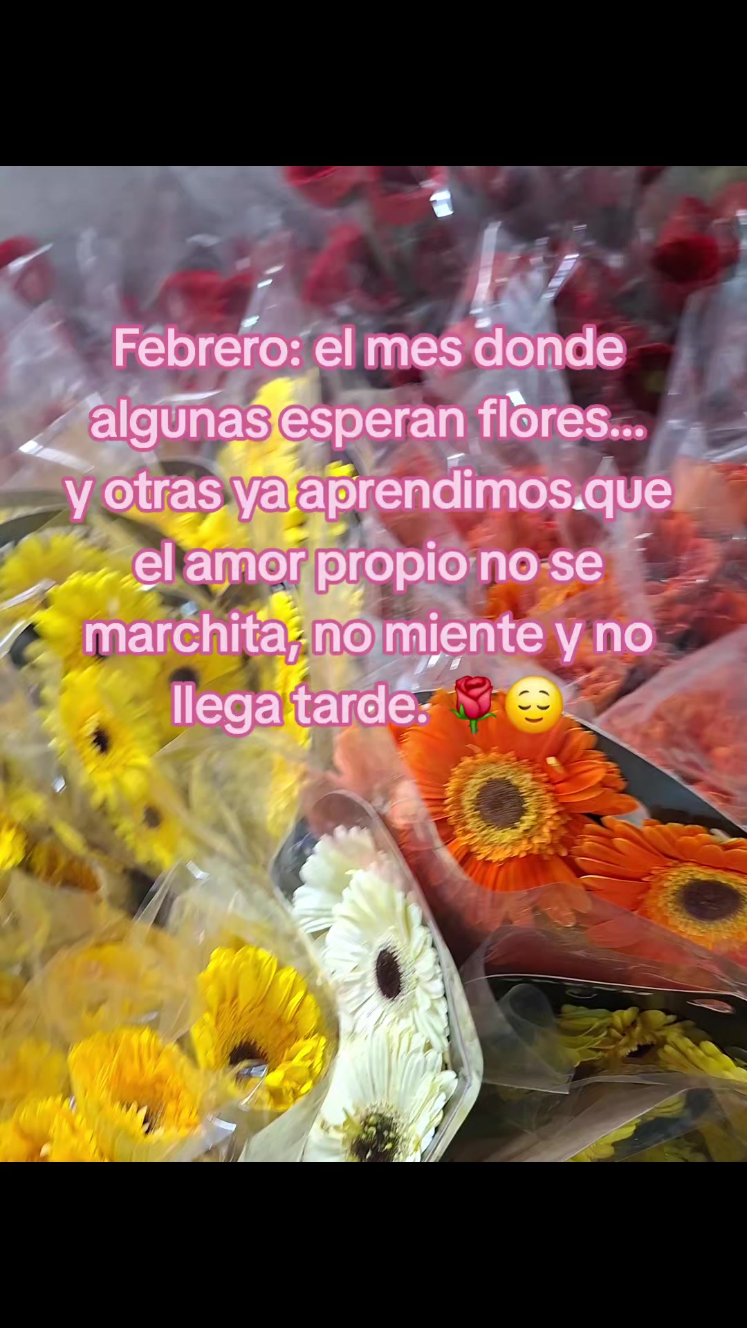 @Maribel Corsan