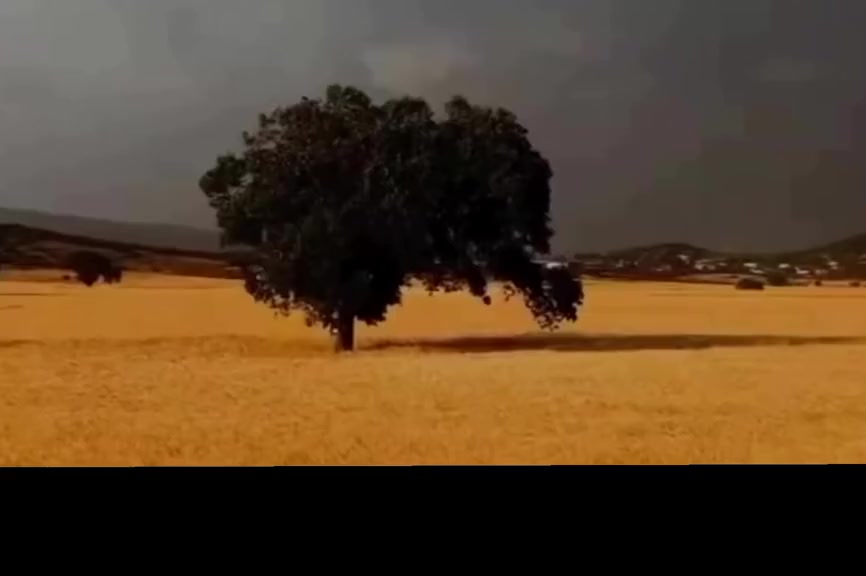 @stranekurdi