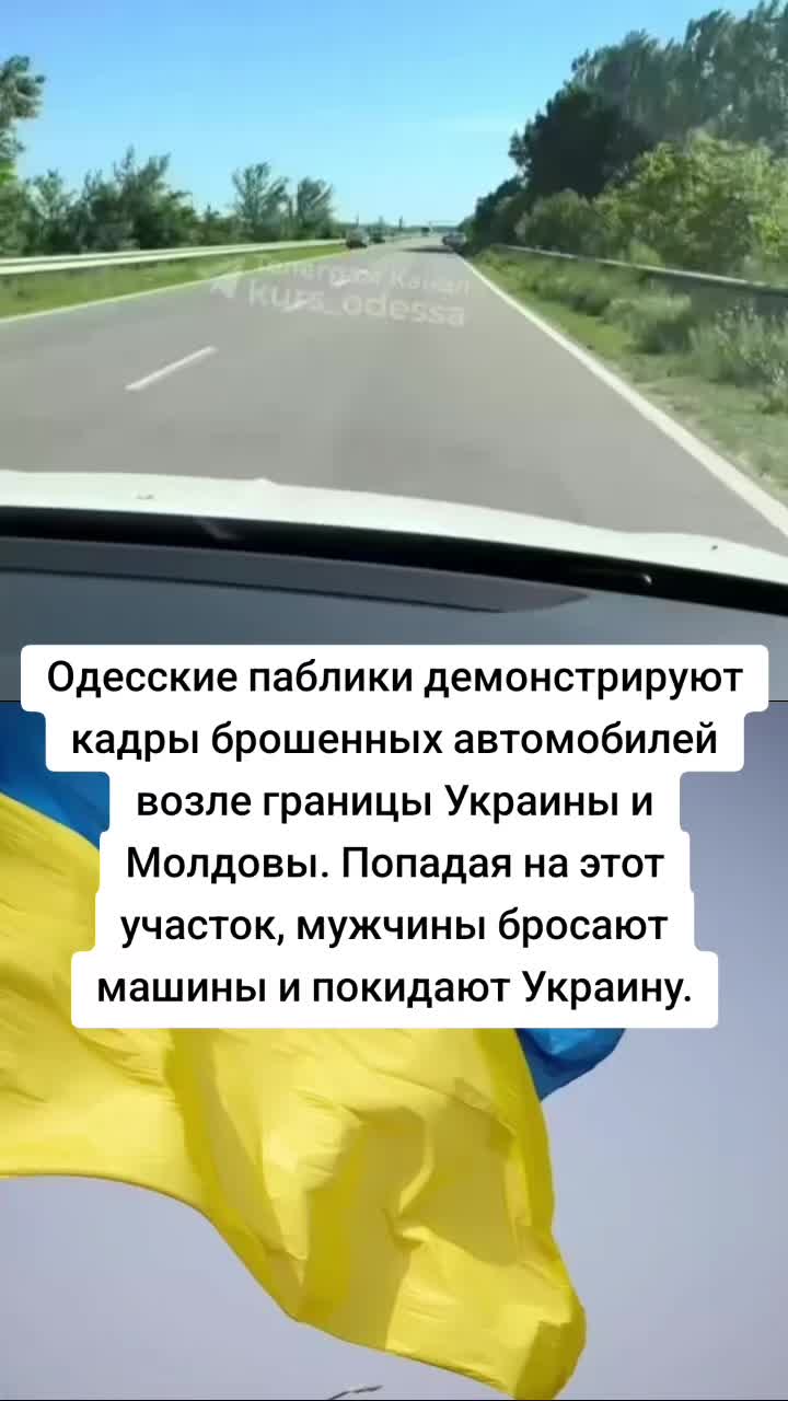 @Художник👺