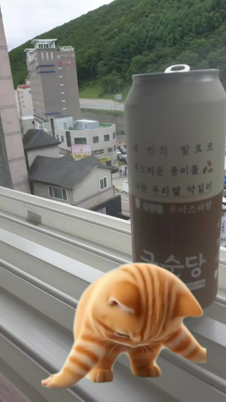 @올싱나야