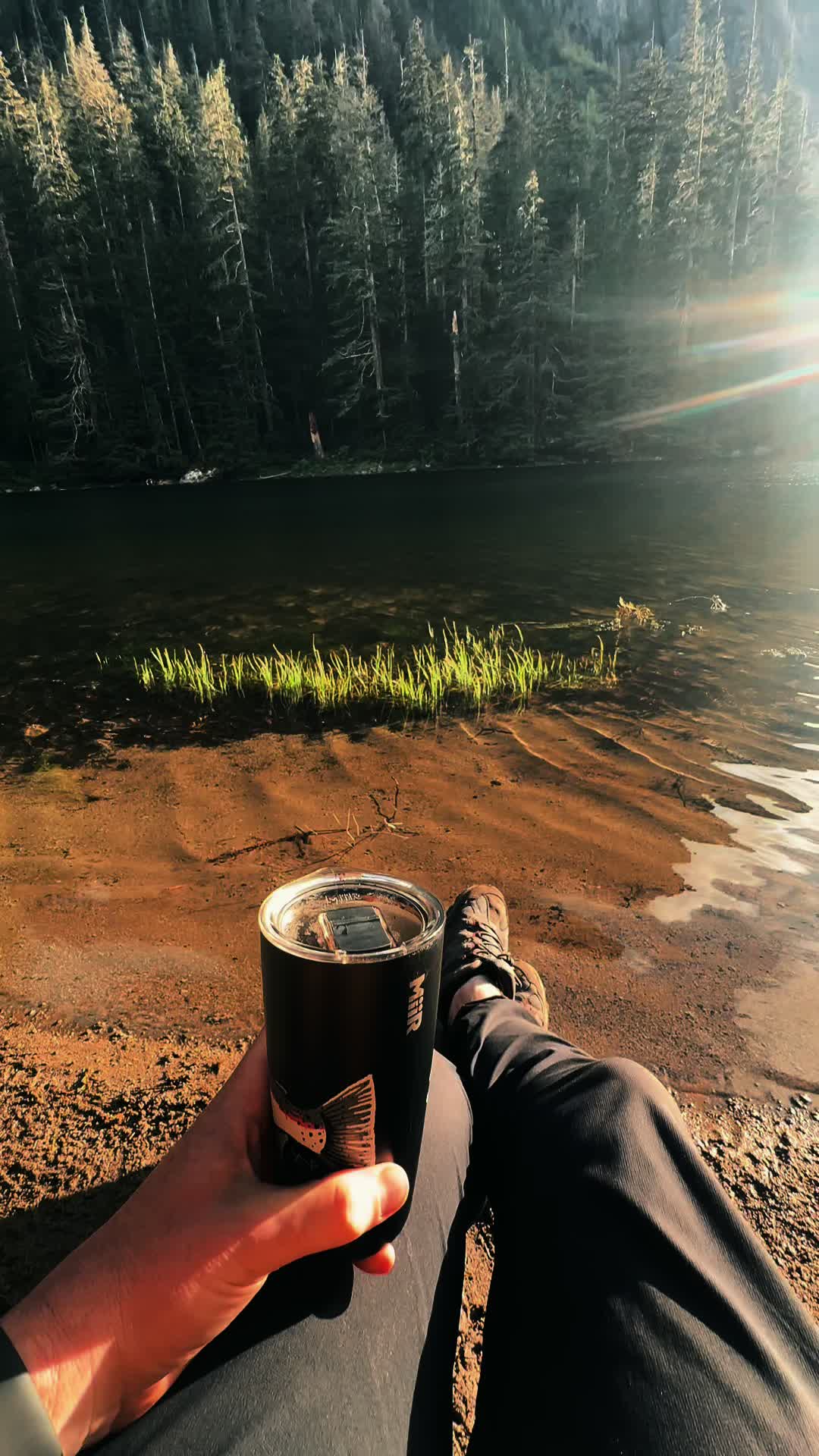 @🌲 James | WA 🏔️