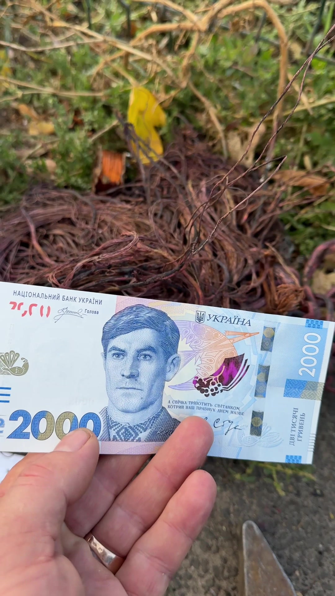 @Медь за деньги