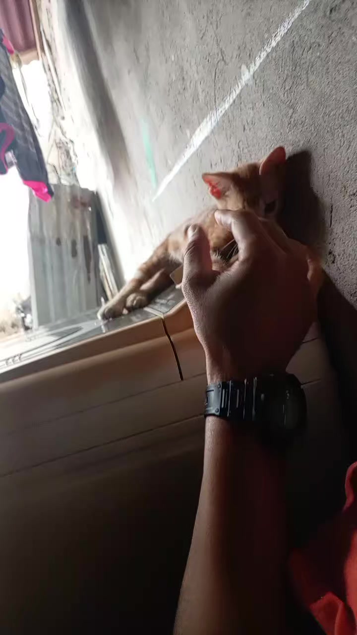@Esteban 85