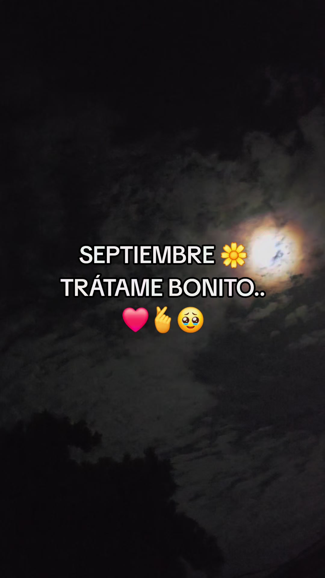 @❤️ Princess ❤️