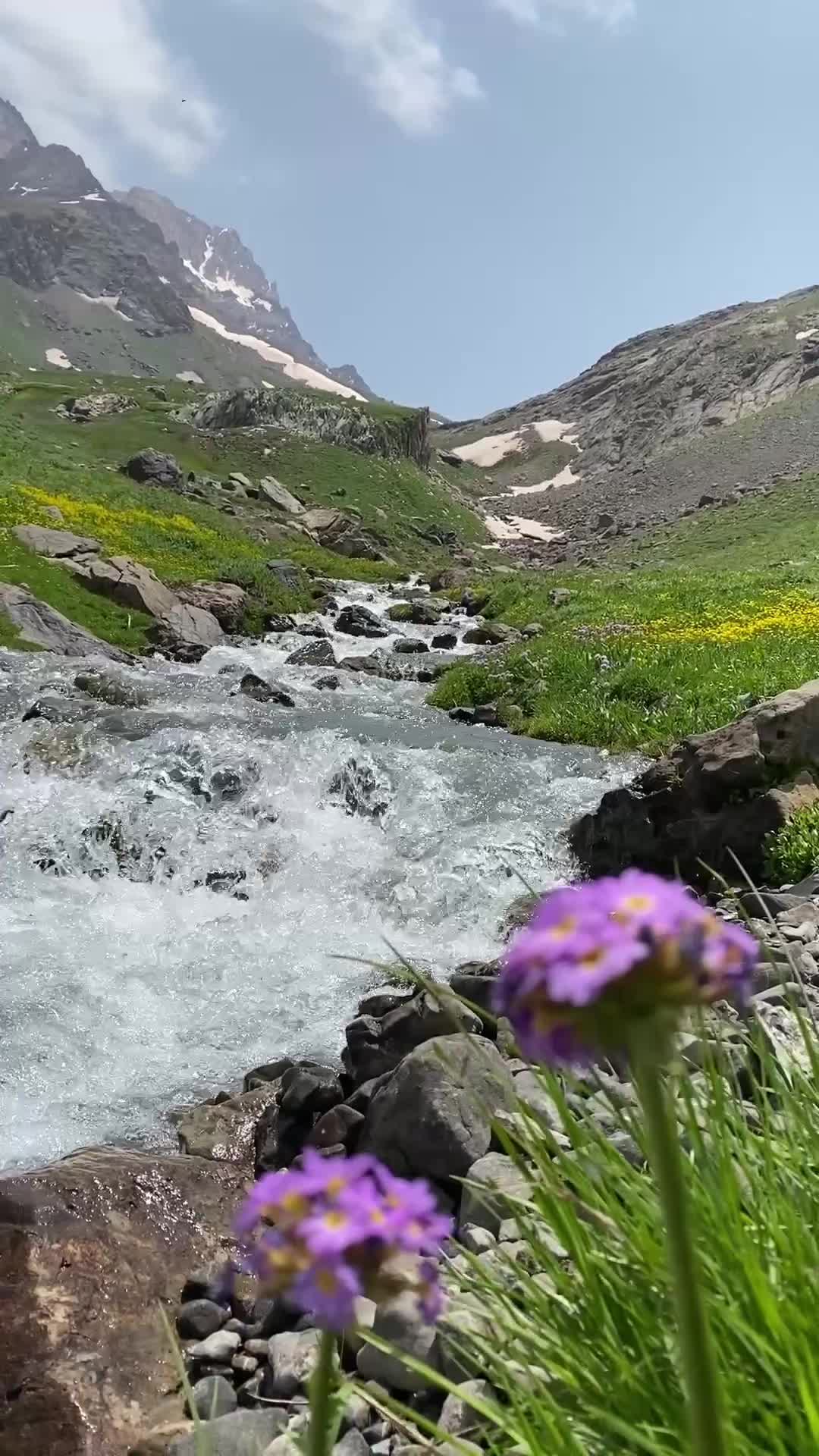@Hakkâri TV