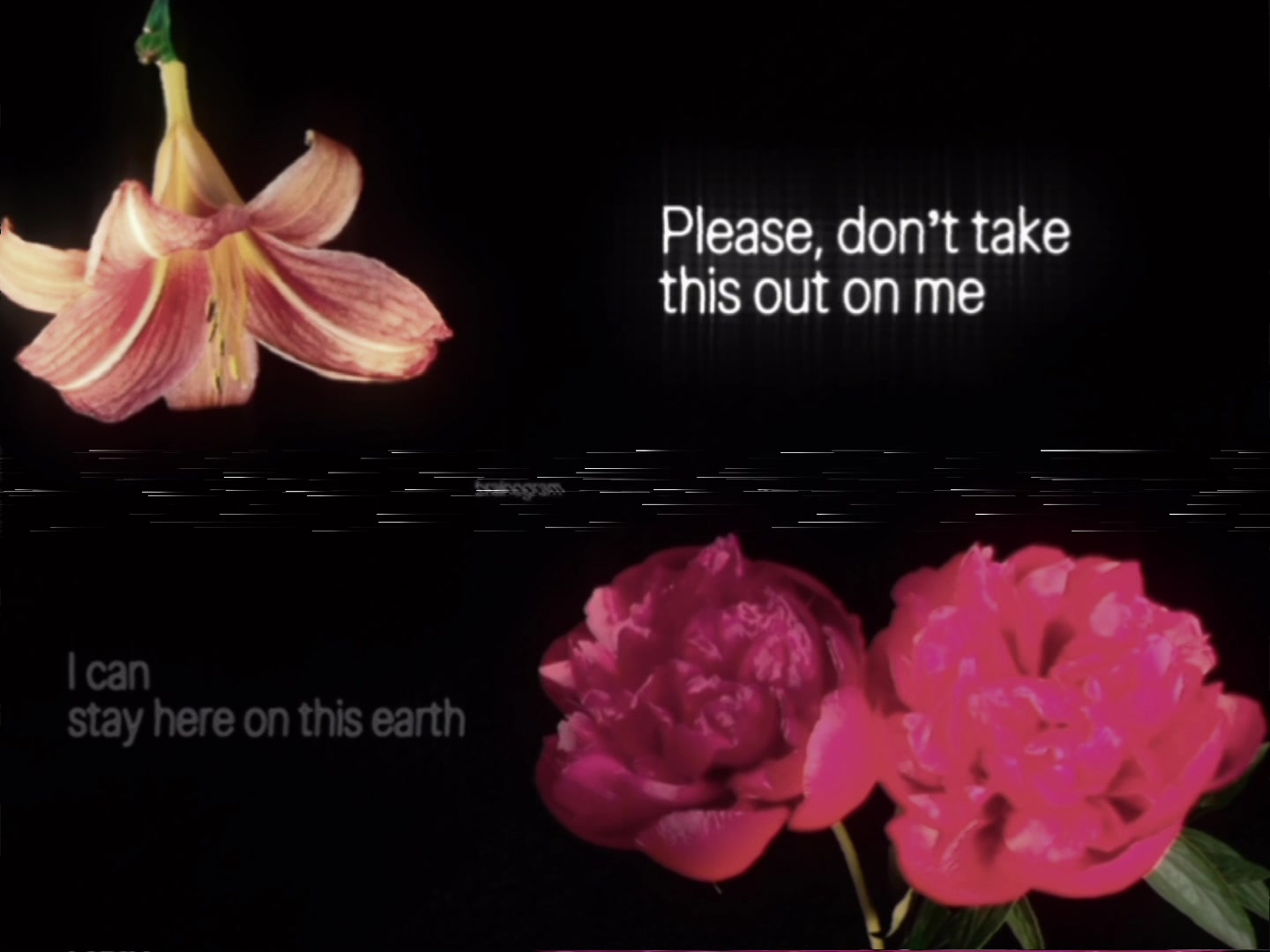 @꩜𖦹༄