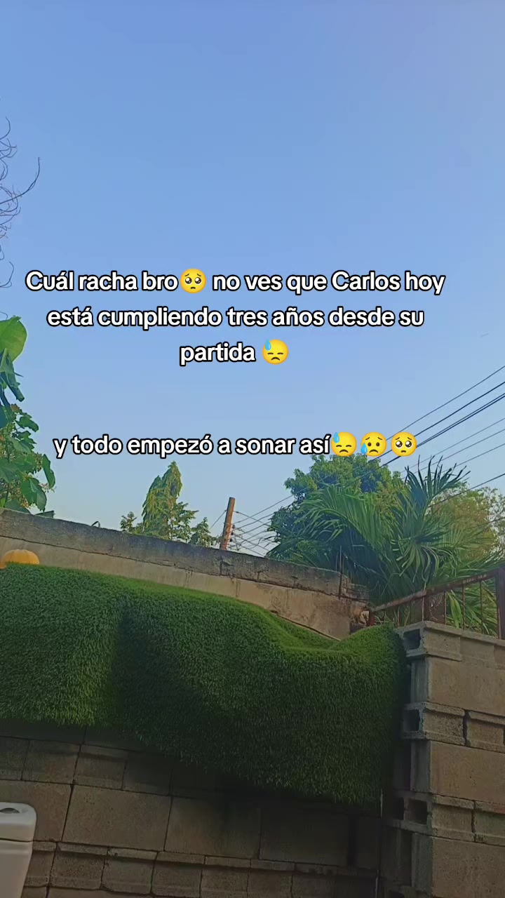 @Ivis 1602🥺