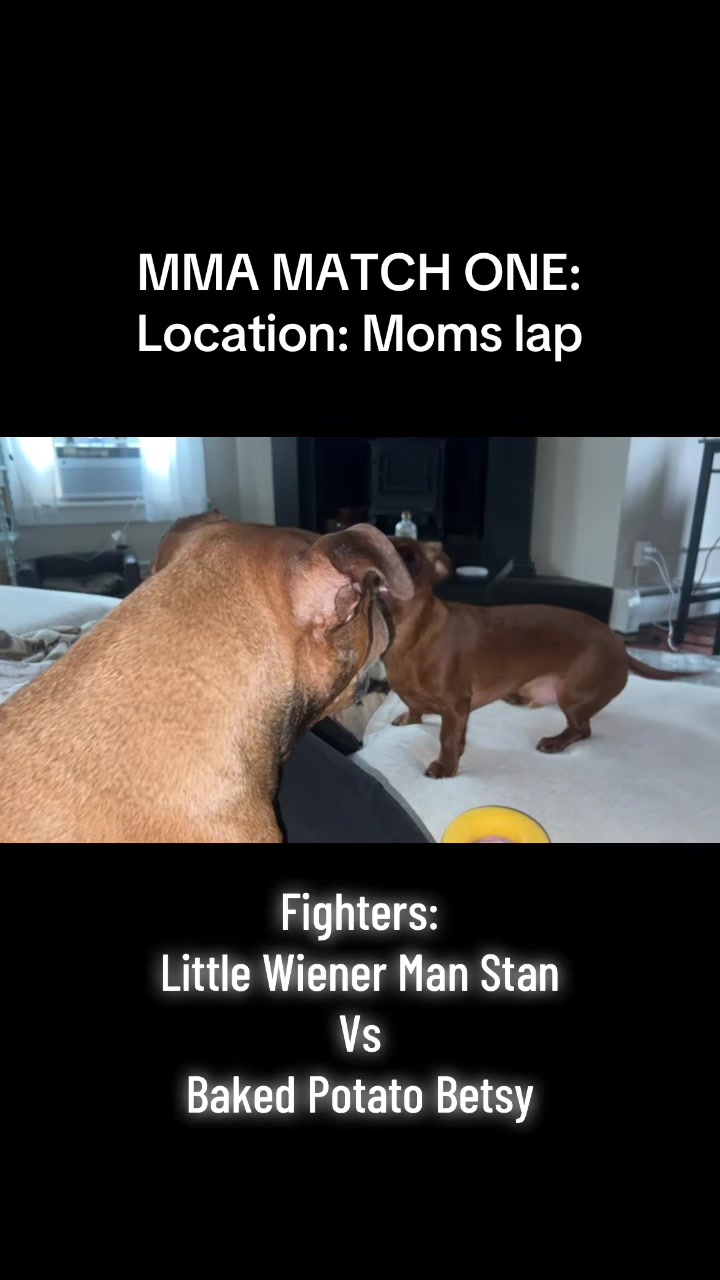 @Stan the Man