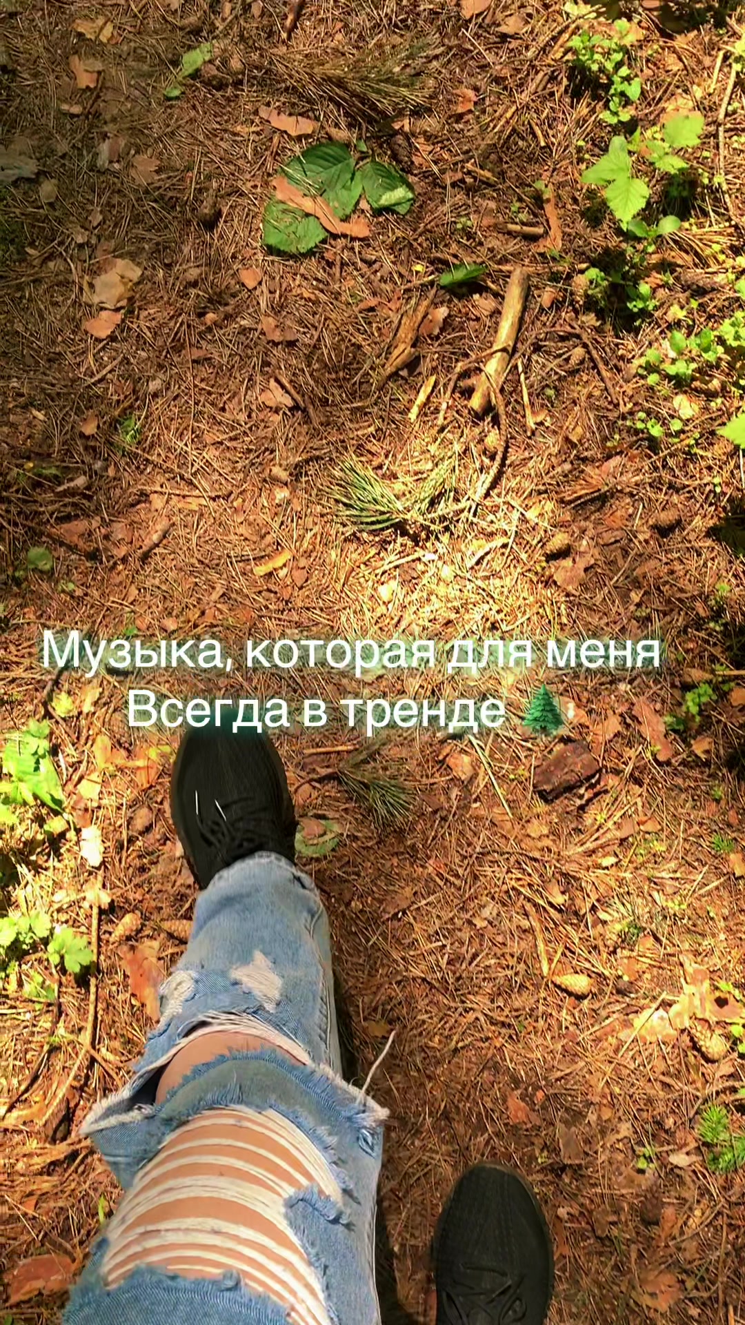 @SOLNCEEDCA☀️