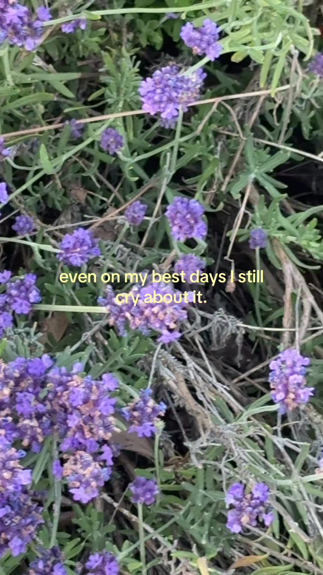 @jazzy