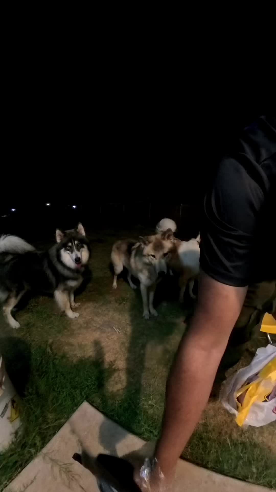 @Neko, Tokahli and Bear