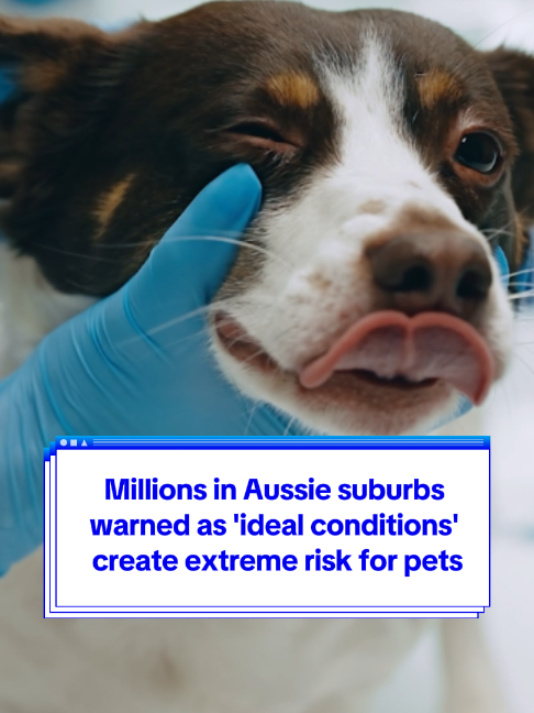 @Yahoo Australia