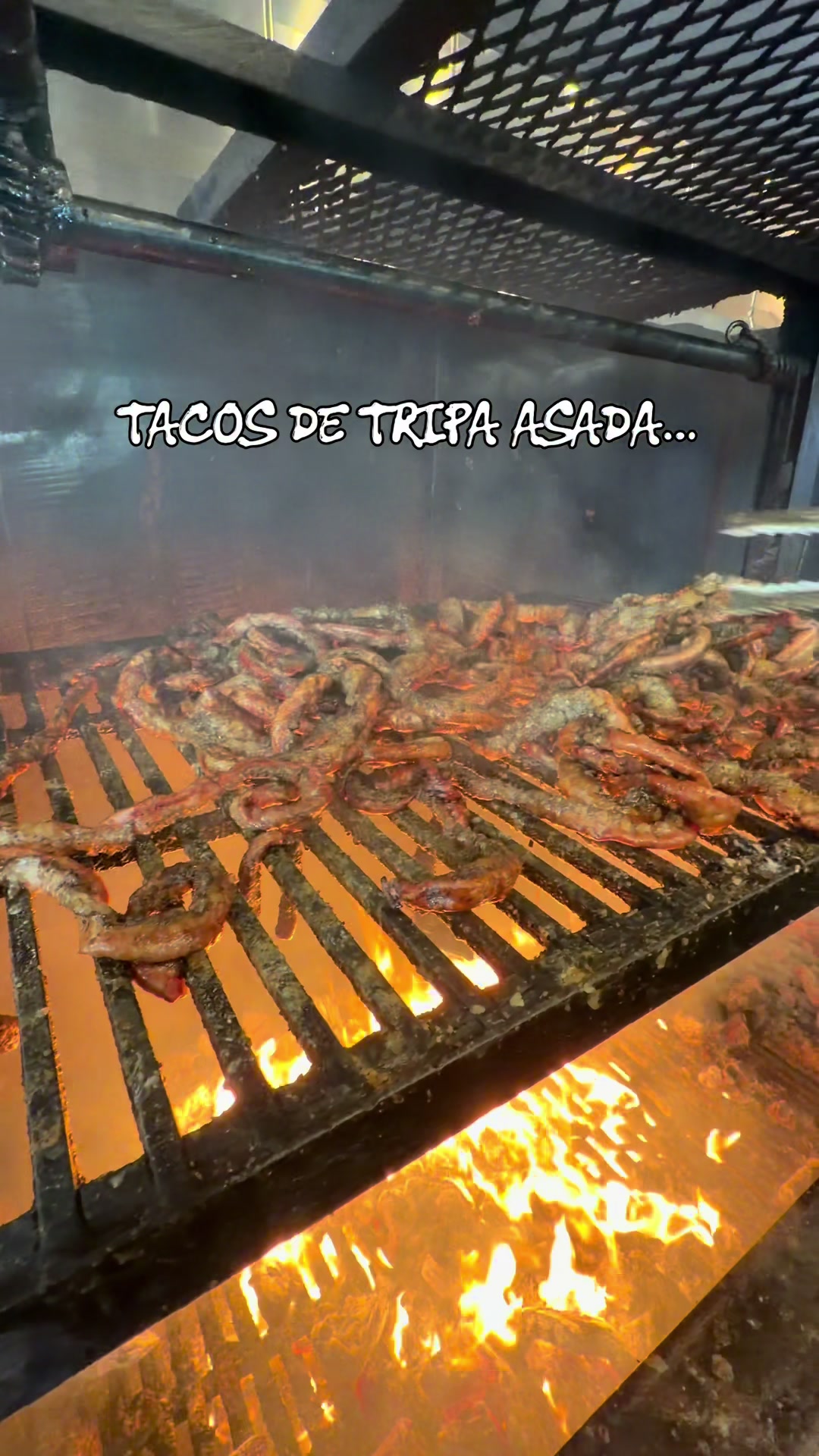 @TACOS LOS CHOLOS