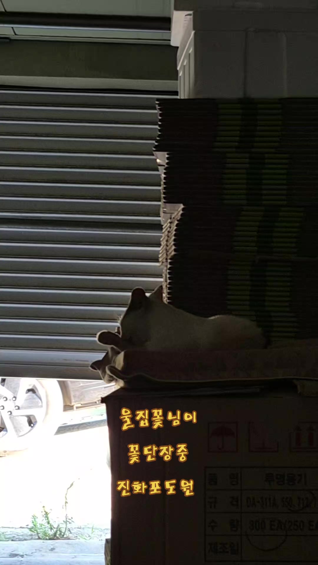 @진화포도원
