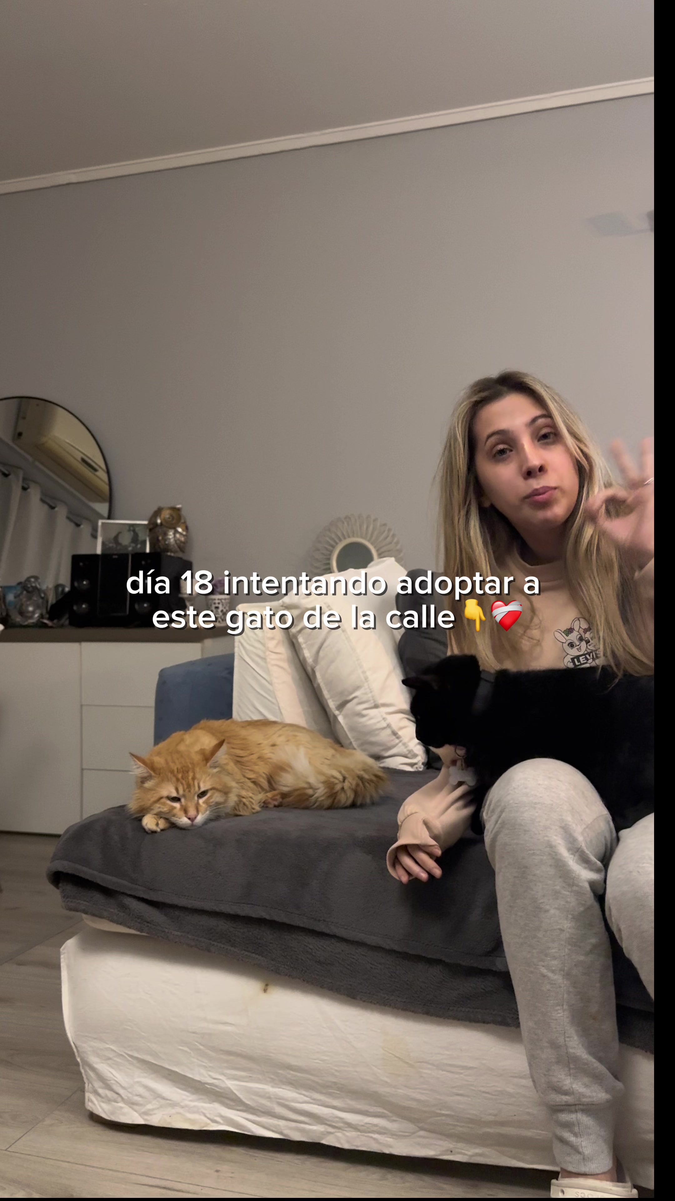 @Lucia Serenaa