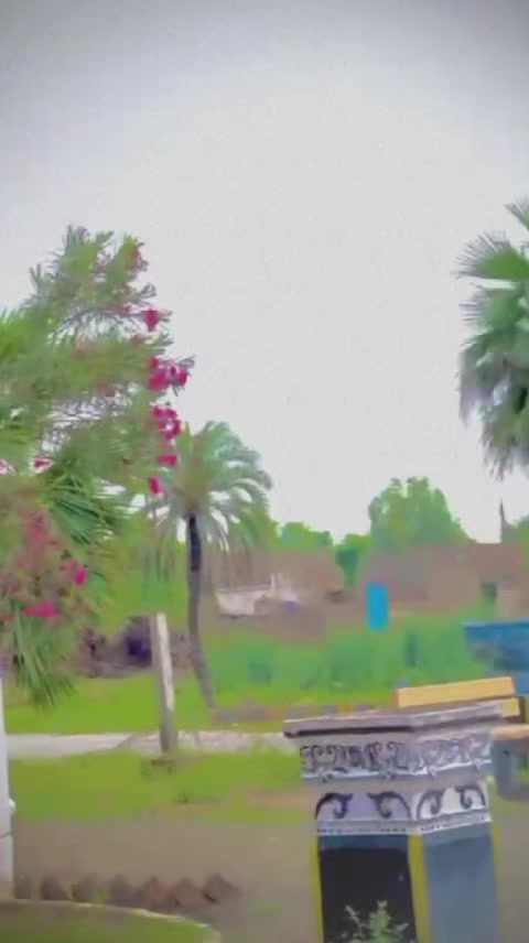 @🐦&zwj;🔥(khan♑نعمان)🐦&zwj;🔥