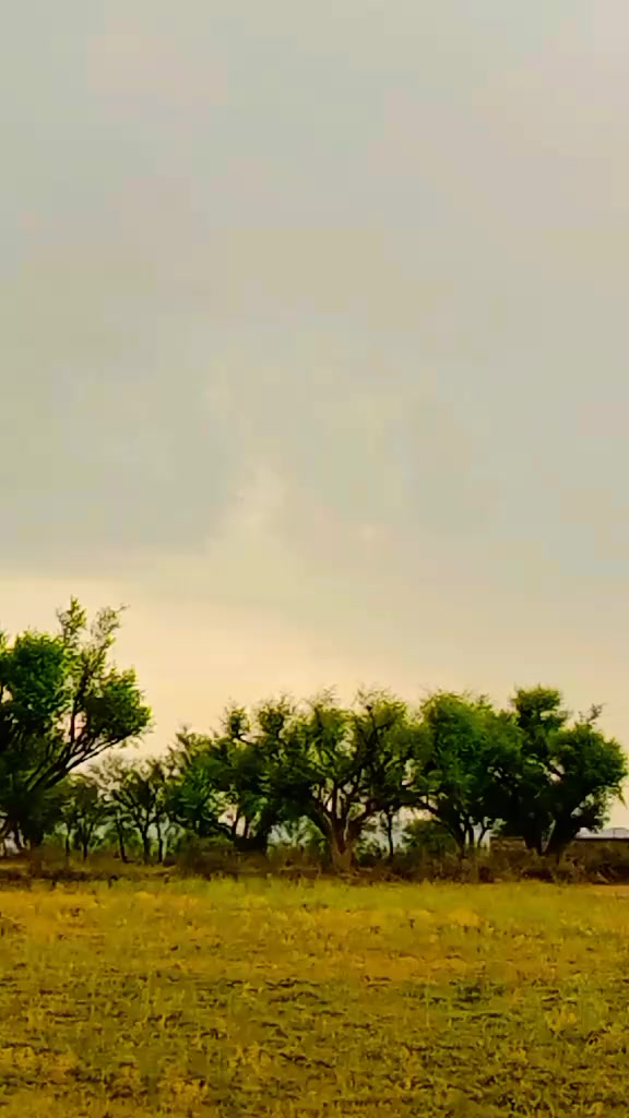 @Kaka Manna