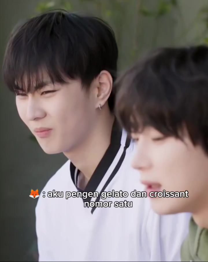 @ara🦊