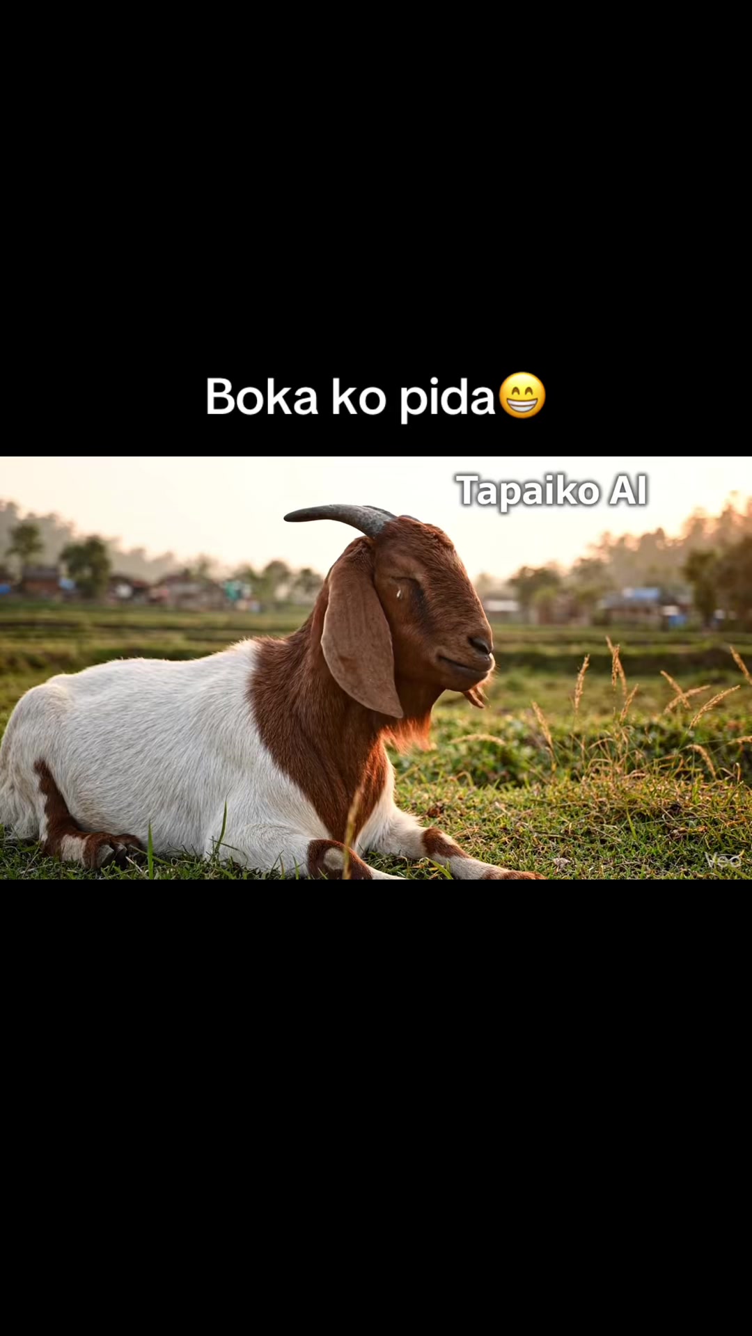 @तपाईंको AI