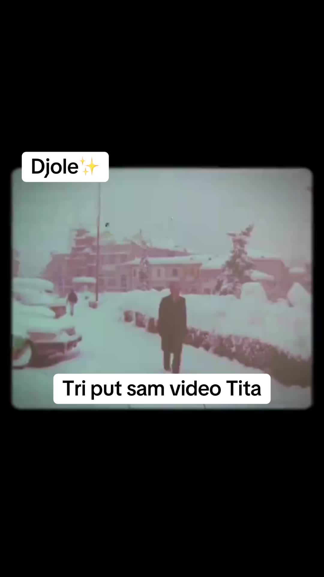 @SREDA🐾