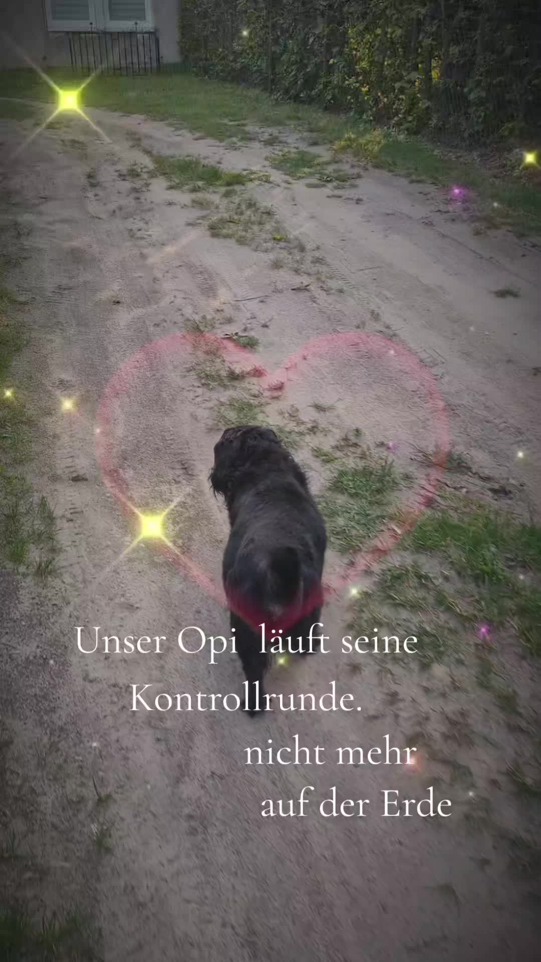 @CarolaP