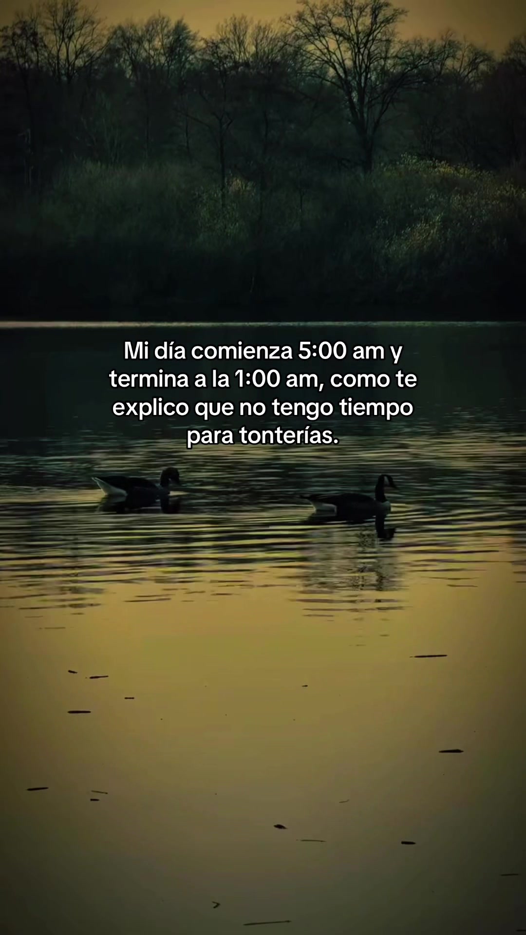 @emotivacion4