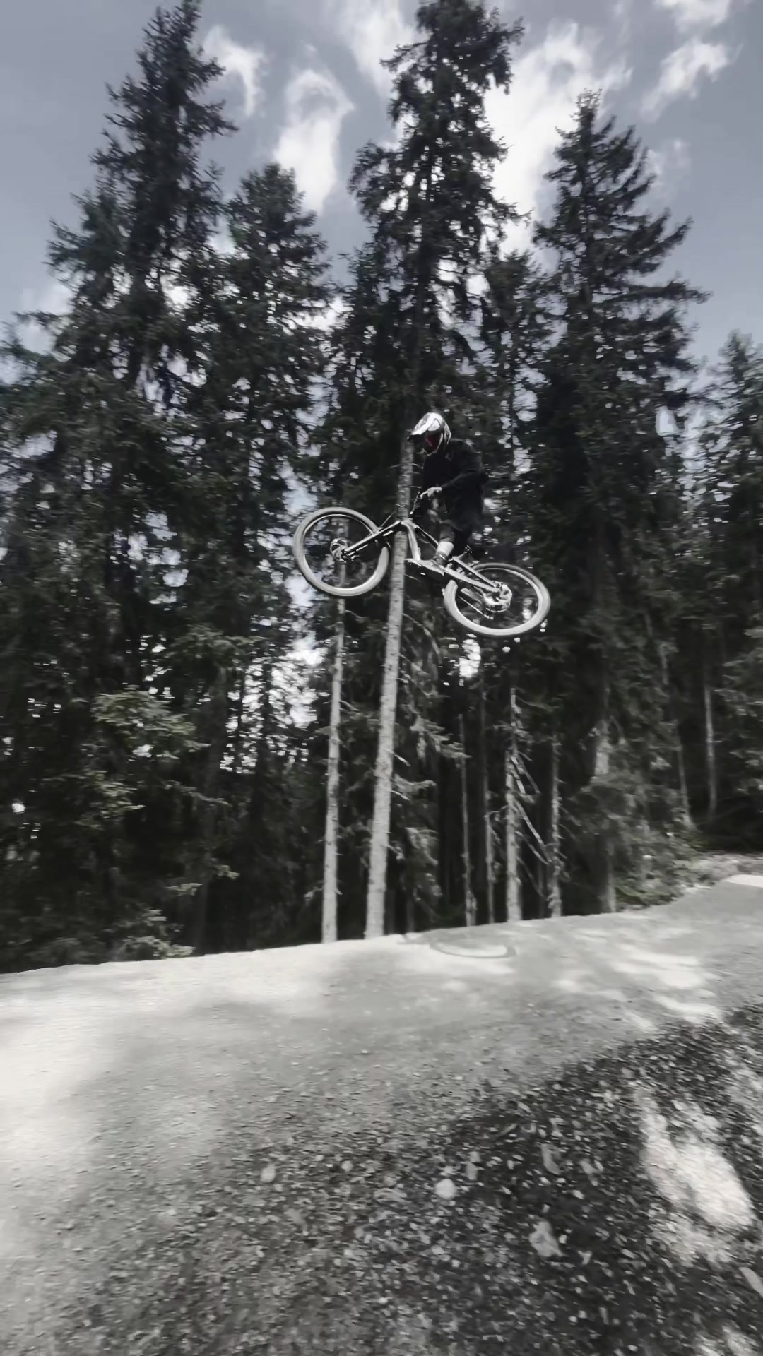 @🌲Freeride_Paul🌲