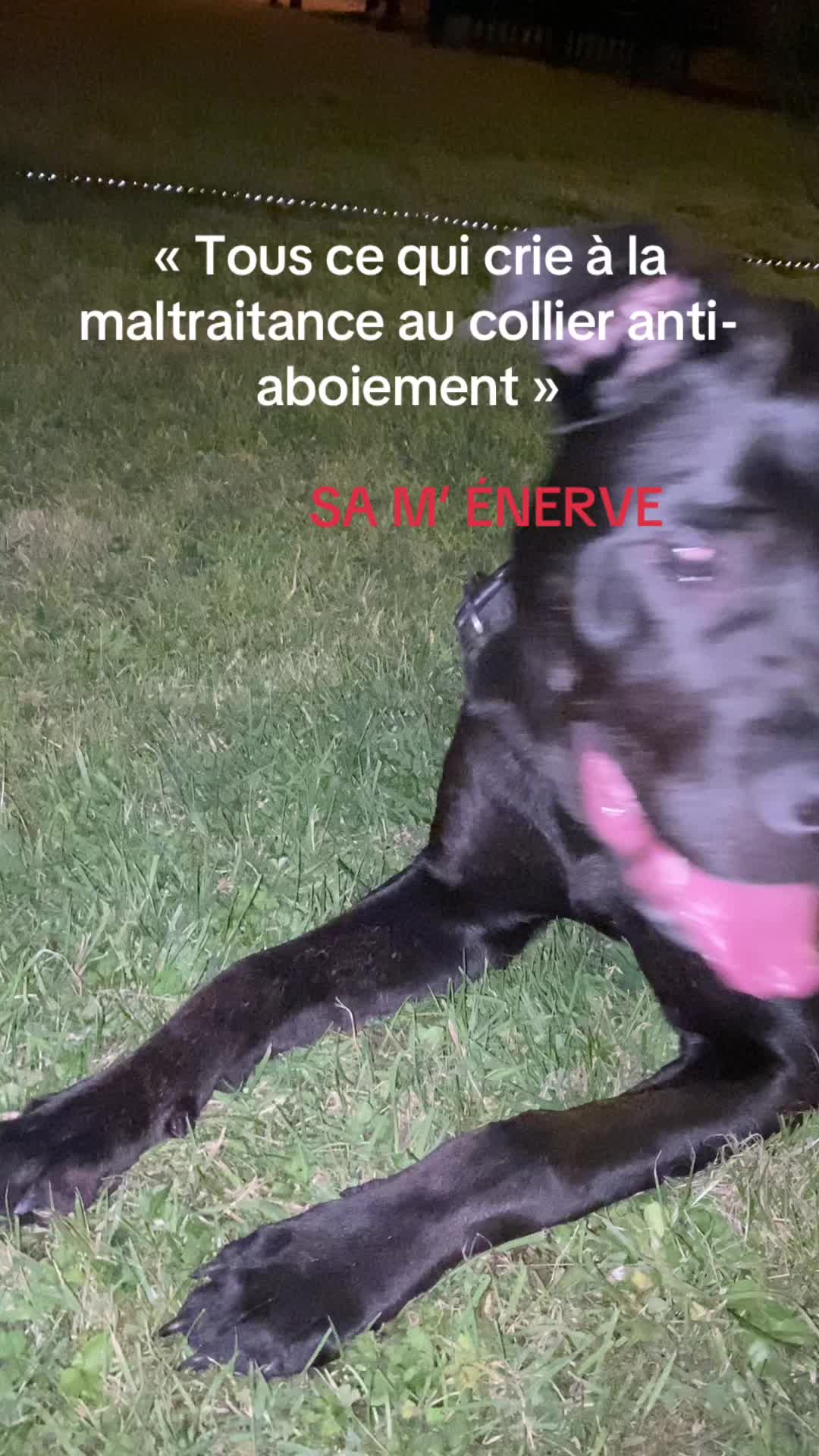 @les.aventures.de.naya