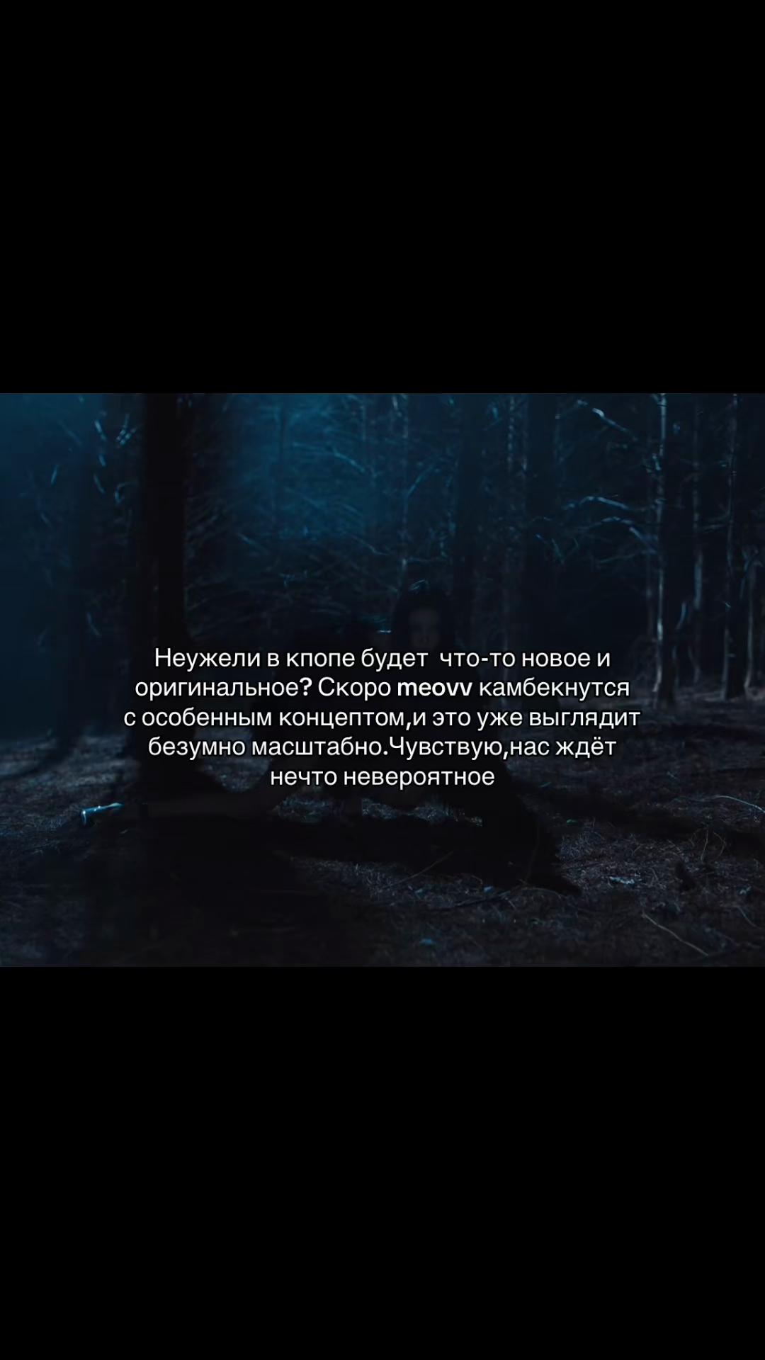 @🐈⬛помпом🐈⬛