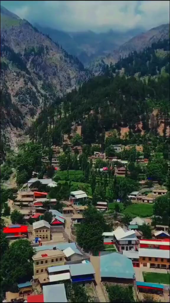 @VILLAGE_VIBES 1