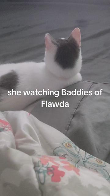@BADDIE_AUNTI