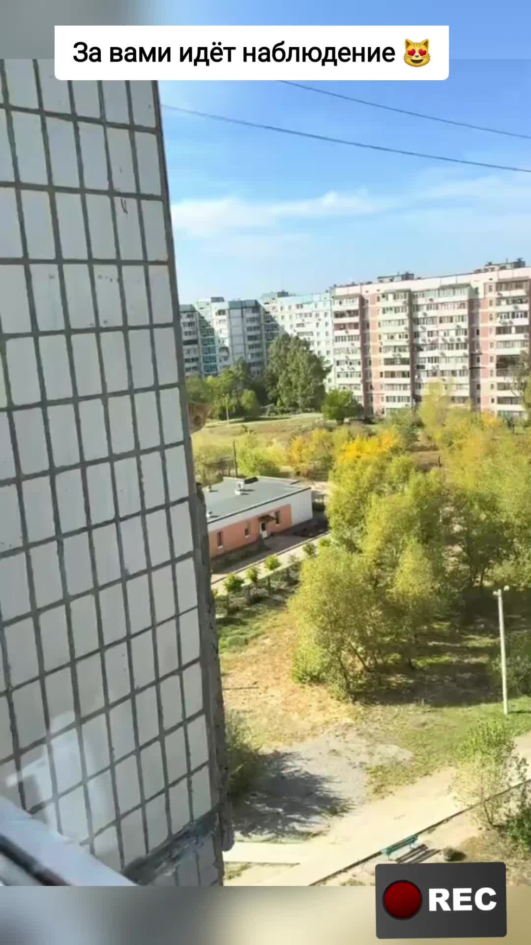 @Лариса