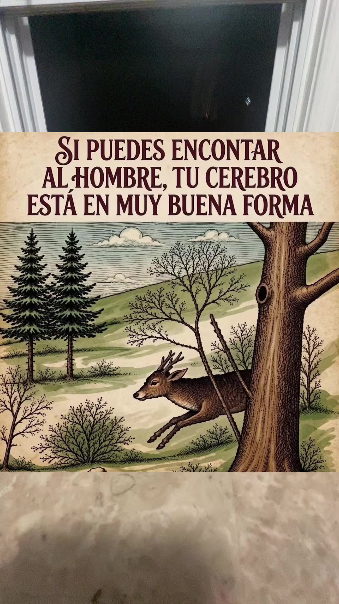 @Beto Antunez