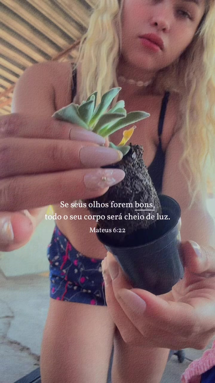 @Amandha