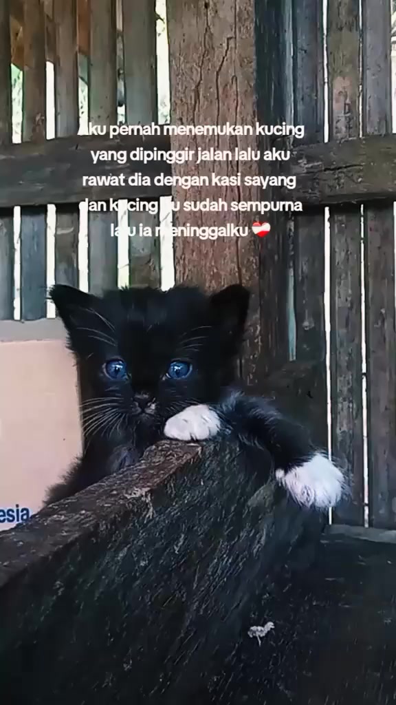 @๐๐๐ญ๐ฏ๐ข๐๐๐ฌ๐พ